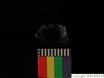 L_V20d4022 A16q63.1 R827 dM la f49.JPG L_V20d4022 A16q63.1 R827 dM la f49